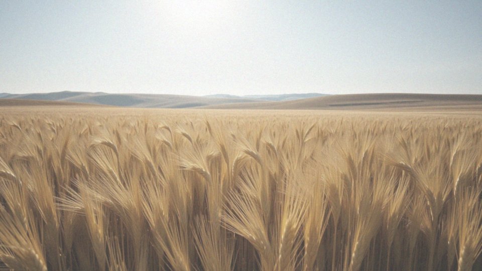 Jak zmienia się orbita Ziemi i jej nachylenie?