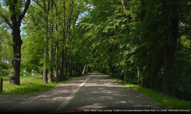 Bażantarnia w Siemianowicach Śląskich