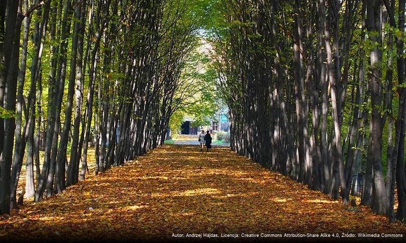 Park Miejski w Siemianowicach Śląskich