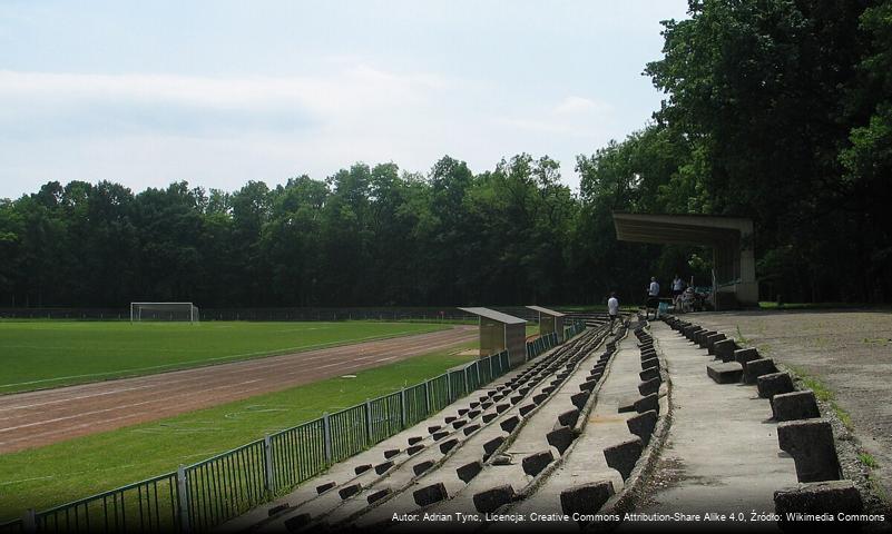 Park Pszczelnik