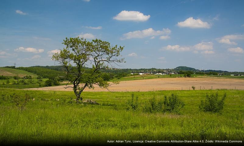 Przełajka