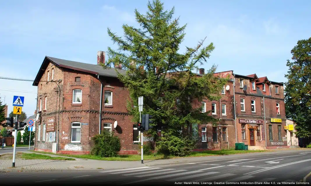 Podsumowanie zimowych półkolonii w Młodzieżowym Domu Kultury w Siemianowicach Śląskich