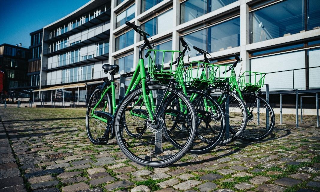 Wypożyczalnia Rowerów Siemianowice Śląskie